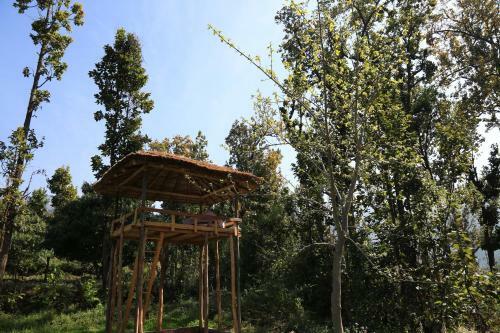 Camp Kyari, Syat