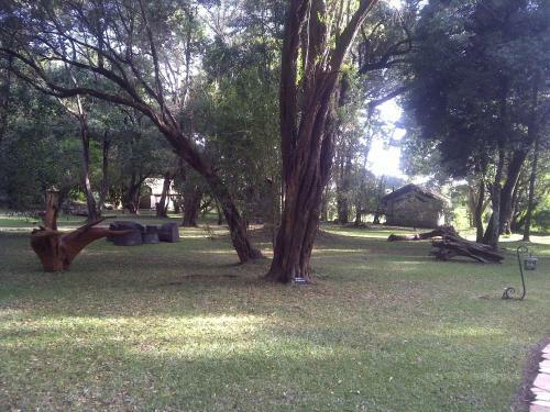 Lodge Mara River Camp