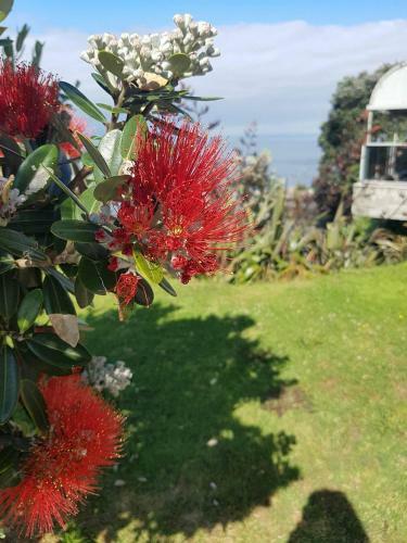 Hotel Te Kaha Beach Resort