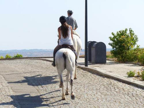 Agroturismo Casa Das Castas Wine Guesthouse