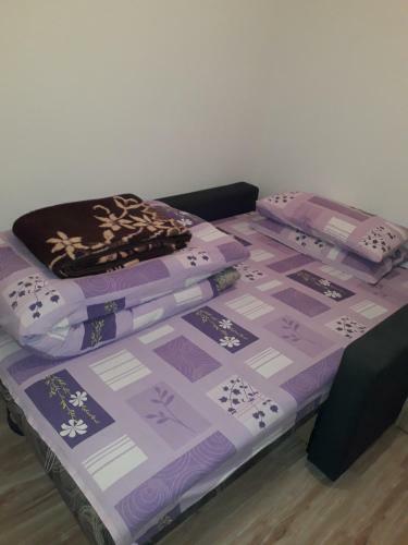 Hostal Vila Vasojevi?
