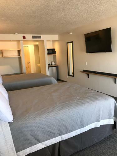 The Nest Hotel