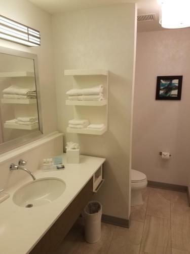 Hotel Hampton Inn & Suites Dallas-the Colony