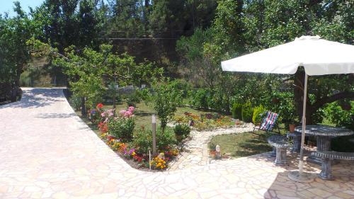 Apartment Supetarska Draga 2