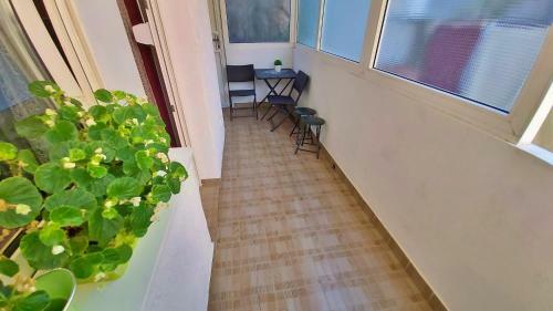 Apartment Ivan