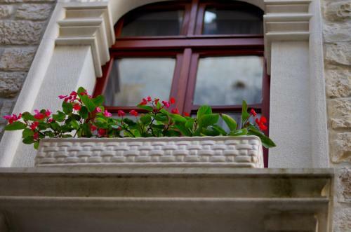 Apartamentos Palace Stafileo