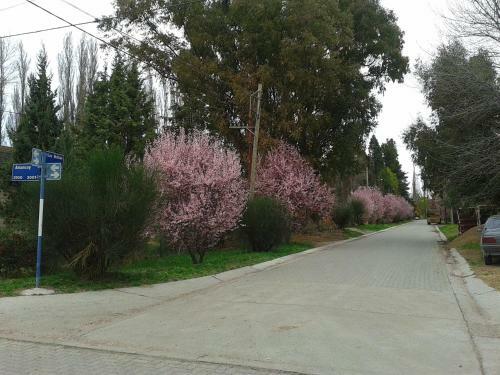 Bed & Breakfast El Colibr� Caba�as de La Naturaleza