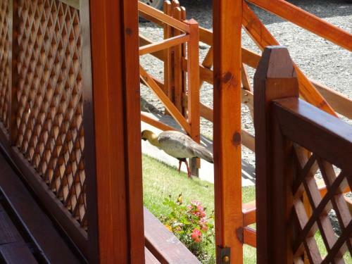 Lodge Caba�as De Nen� Aparts