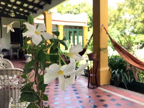 Posada Casa Bellavista