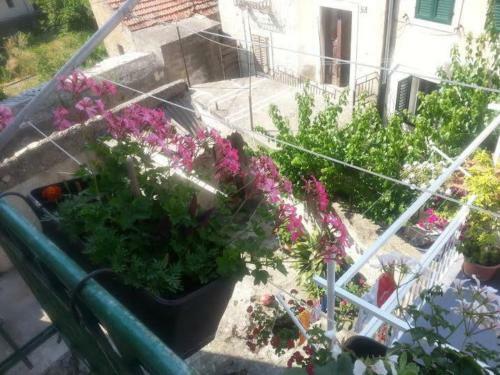 Apartments Antonia