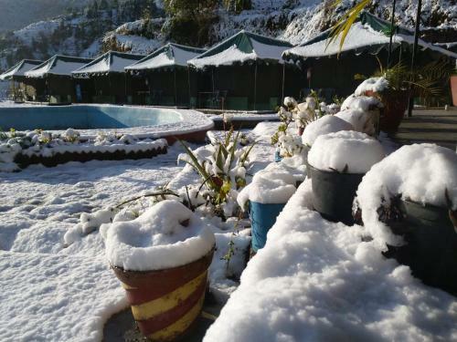 Mussoorie Camp Resort