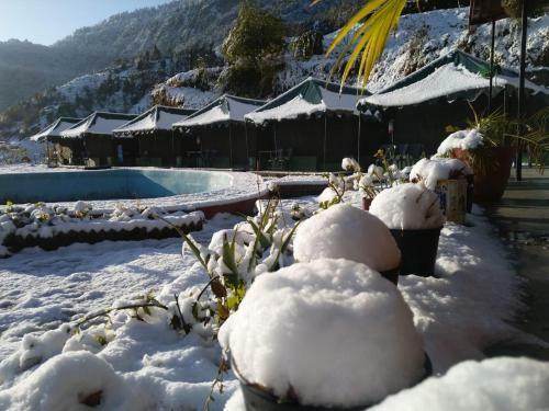 Mussoorie Camp Resort