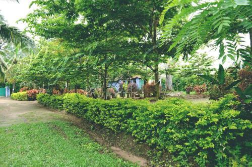 Mystic Greens Homestay, Coorg