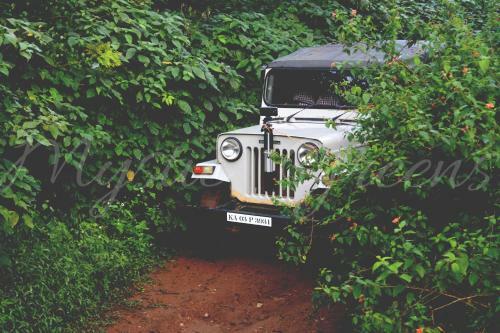 Mystic Greens Homestay, Coorg