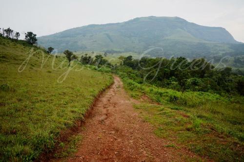 Mystic Greens Homestay, Coorg