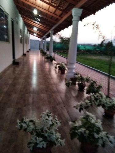 Bougainvillea Homestay