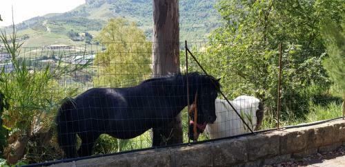 Bed And Breakfast Da Pietro