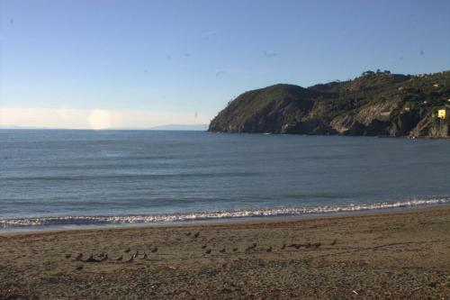 Hostal Affittacamere Levantomare