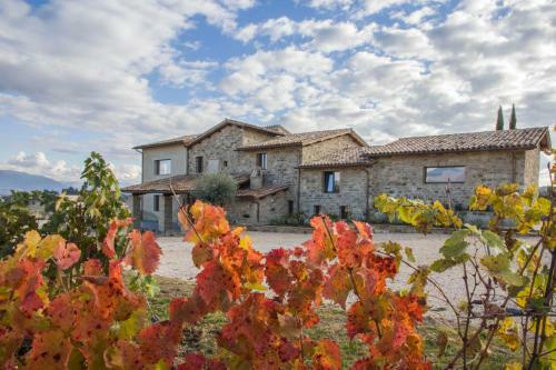 Agroturismo Fattoria Colsanto