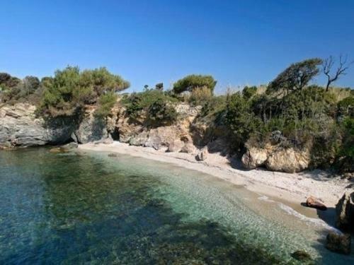 Apartment Jardin Azur