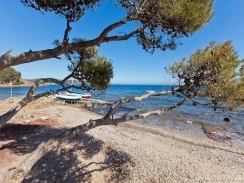 Apartment Jardin Azur