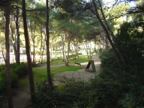 Apartment Verdon