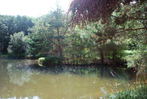 Le Castel