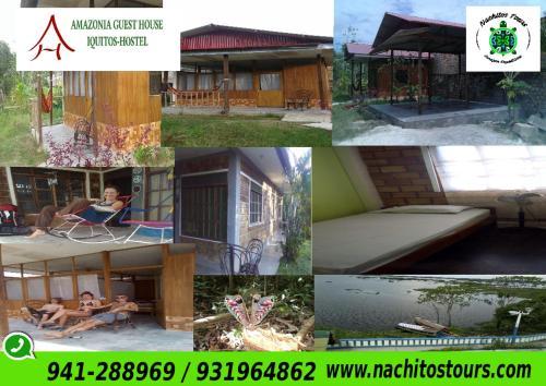Bed & Breakfast Amazonia Guest House