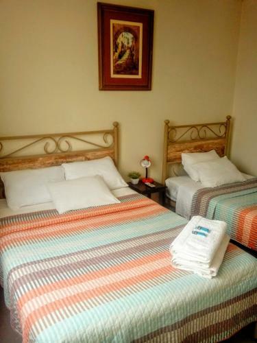 Bed & Breakfast Diamond Monkey Lodge