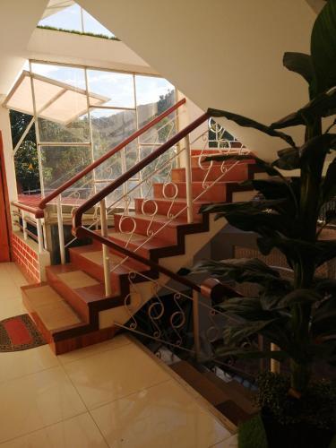 Hotel Payanito