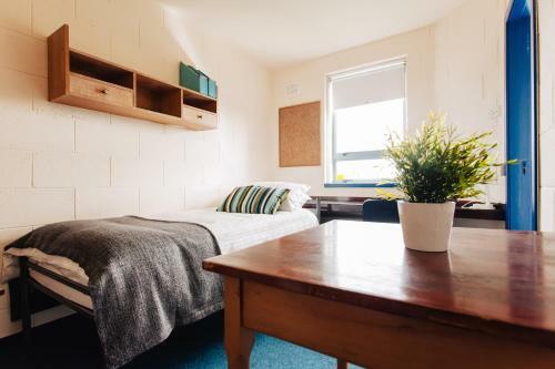 Albergue Dcu Larkfield