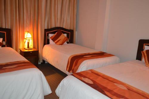 Bed & Breakfast Andino Hotel