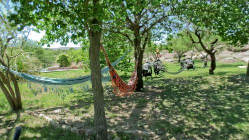 Lodge Rancho Escondido