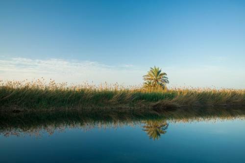 Hotel Al Baleed Resort Salalah By Anantara