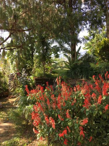 Hotel Hidden Paradise Guest House