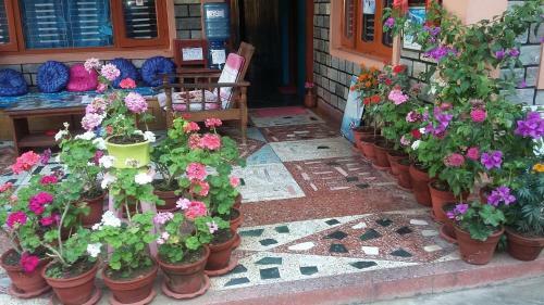 Hostal Galaxy Inn Guest House