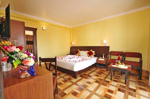 Hotel Dandelion