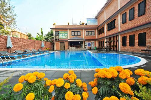 Hotel Dandelion
