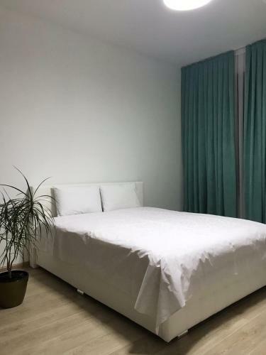 Vip Apartment