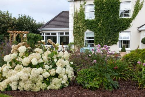 Bed & Breakfast Laburnum Lodge