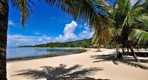 Coconut Grove