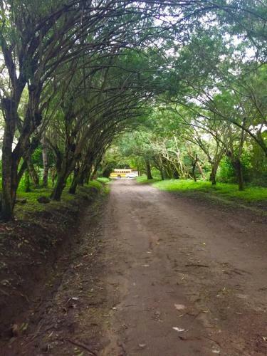 Refugio De La Monta�a B&B