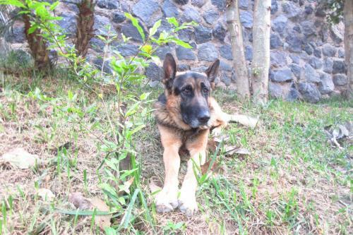 Apartamento Treehouse Spa