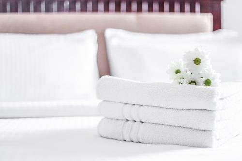 Stay Easy Hotel