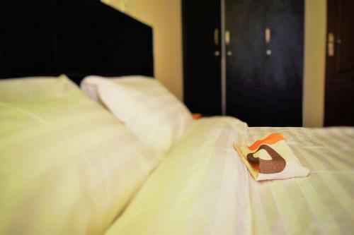 Cot Addis Backpackers Hostel
