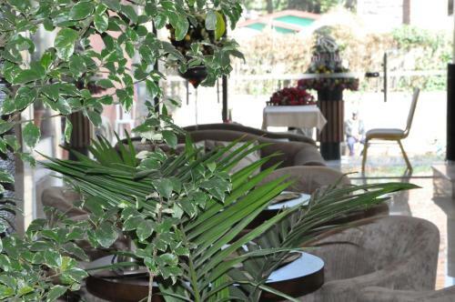 Addissinia Hotel