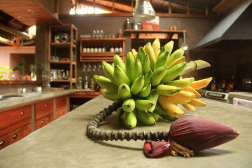 Hotel La Bicok Ecolodge