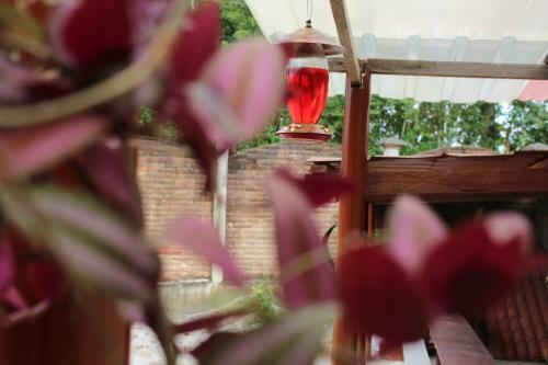 Hotel Flor Del Campo