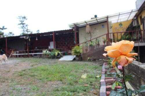 Hotel Flor Del Campo