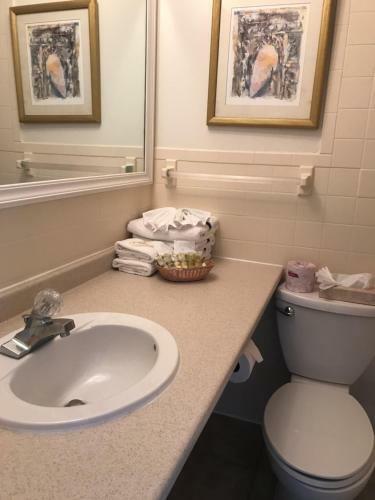 Hotel Ocean Surf Resort